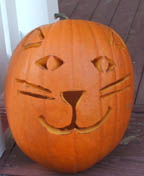 kittypumpkin.jpg